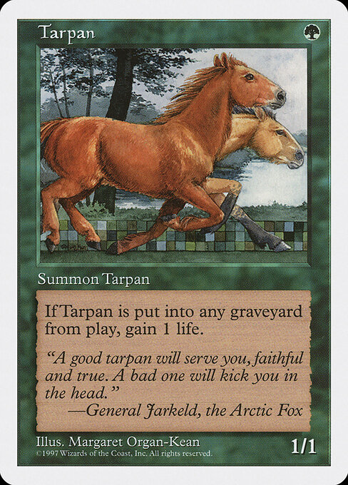 Tarpan - Fifth Edition (#330) - Illustrated by Margaret Organ-Kean - Magic: The Gathering Card