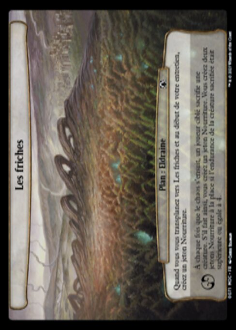 Le Terre Selvagge (The Wilds) - March of the Machine Commander (#71) - Illustrated by Chris Seaman - Magic: The Gathering Card