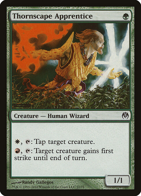 Thornscape Apprentice - Duel Decks: Phyrexia vs. the Coalition Magic card