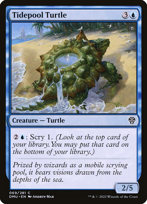 Tidepool Turtle - Dominaria United Magic card