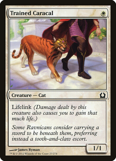 Trained Caracal - Return to Ravnica Magic card