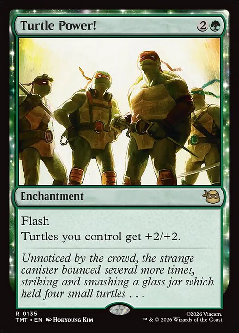 Turtle Power! - Teenage Mutant Ninja Turtles Magic card