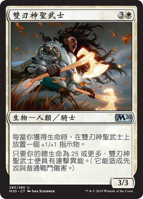 Paladine jumelame (Twinblade Paladin) - Core Set 2020 (#285) - Illustrated by Jana Schirmer - Magic: The Gathering Card