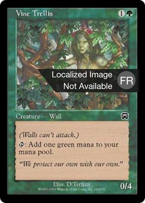 Rede de Trepadeiras (Vine Trellis) - Mercadian Masques (#285) - Illustrated by DiTerlizzi - Magic: The Gathering Card
