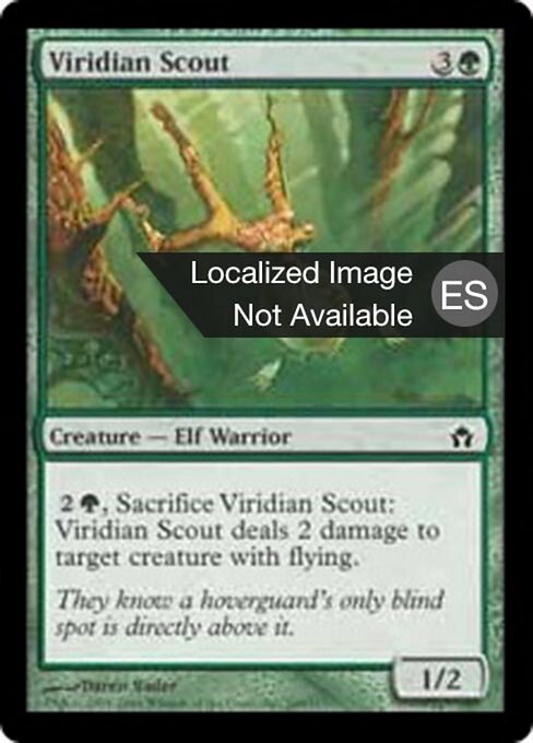 Éclaireur viridian (Viridian Scout) - Fifth Dawn (#100) - Illustrated by Daren Bader - Magic: The Gathering Card
