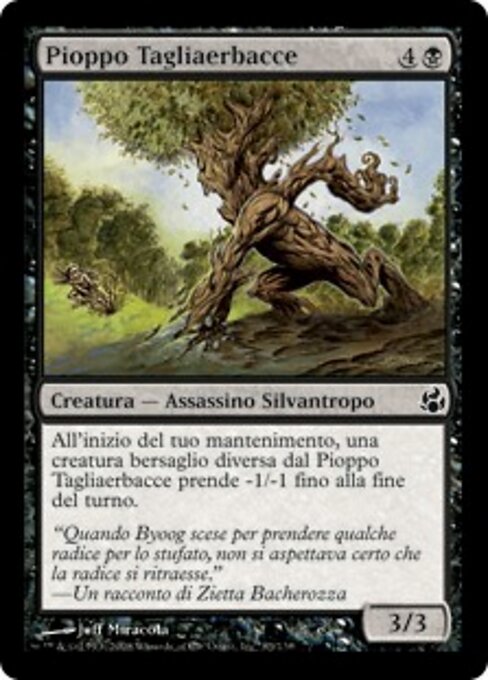 修草黑杨 (Weed-Pruner Poplar) - Morningtide (#83) - Illustrated by Jeff Miracola - Magic: The Gathering Card