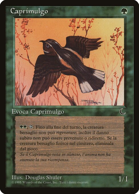Whippoorwill