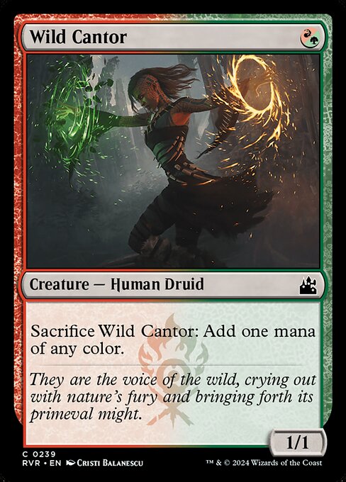 Wild Cantor - Ravnica Remastered (#239) - Illustrated by Cristi Balanescu - Magic: The Gathering Card