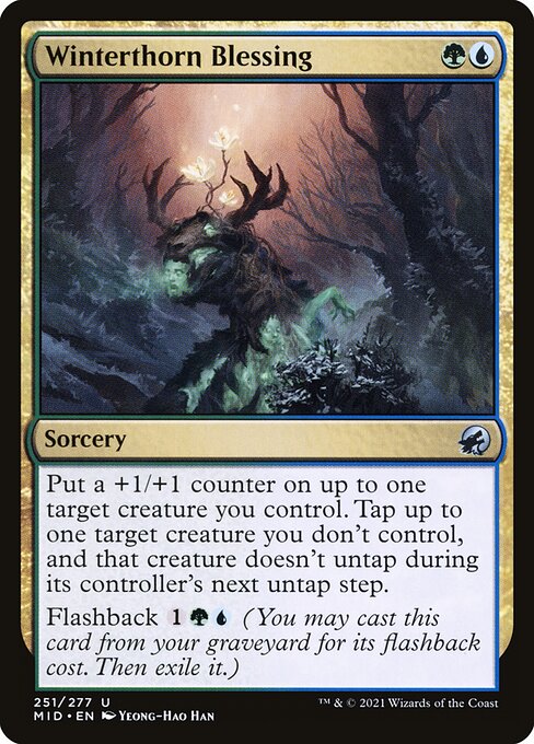 Winterthorn Blessing - Innistrad: Midnight Hunt (#251) - Illustrated by Yeong-Hao Han - Magic: The Gathering Card
