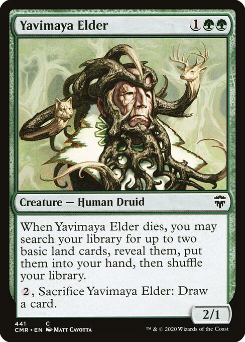 Vieux sage de la Yavimaya (Yavimaya Elder) - Commander Legends (#441) - Illustrated by Matt Cavotta - Magic: The Gathering Card