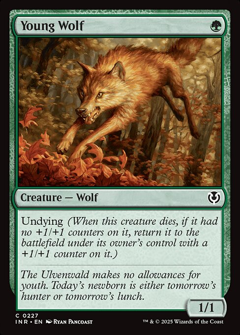 Young Wolf - Innistrad Remastered Magic card